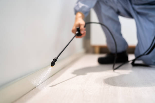 Bed Bug Pre-Treatment Preparation Assessment in D'Iberville