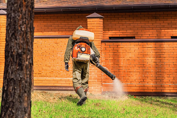 Bed Bug Clearance Verification and Documentation in D'Iberville